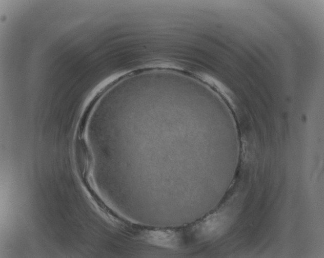 X0000081491125200701121503