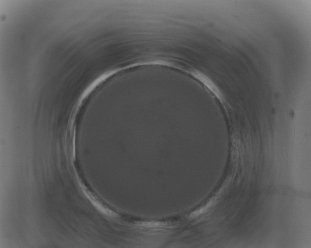 X0000081491127200701121503