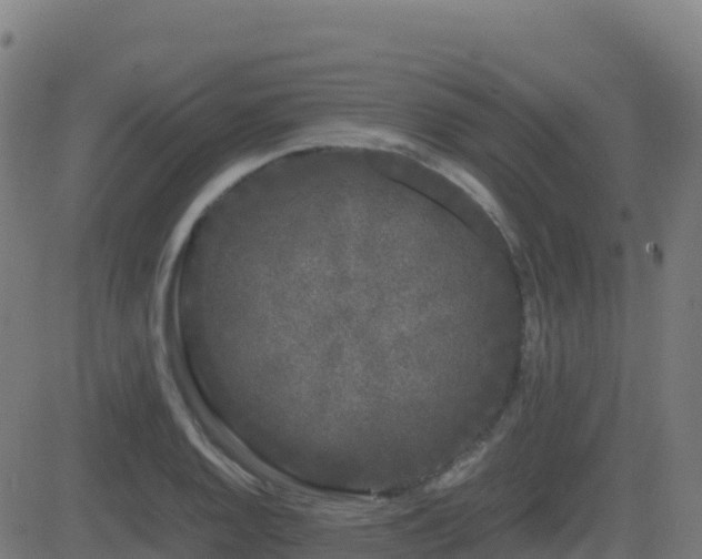 X0000081491128200701121503