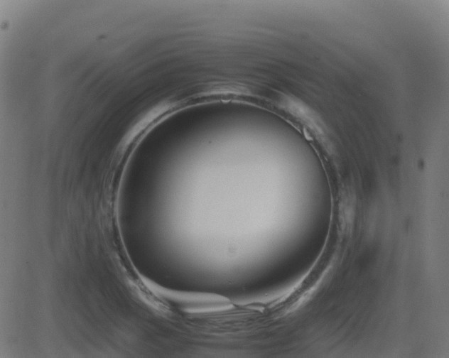 X0000081491129200701121503