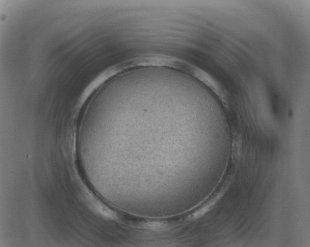 X0000081491130200701121503