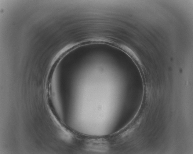 X0000081491133200701121503