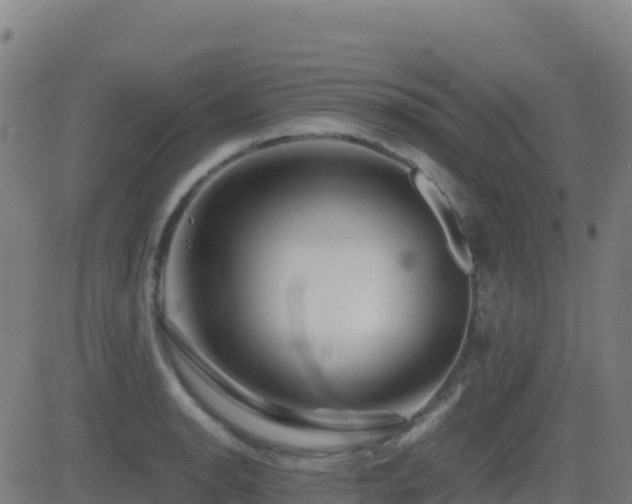 X0000081491134200701121503