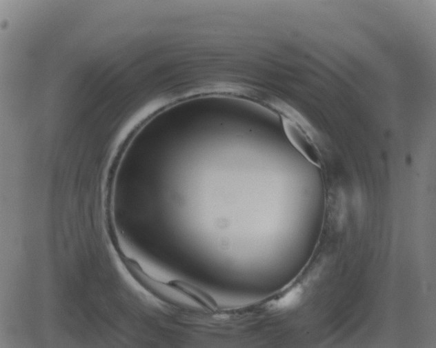 X0000081491135200701121503