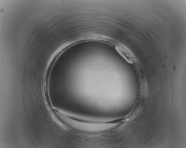 X0000081491136200701121503