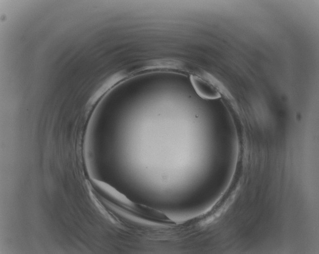 X0000081491137200701121503