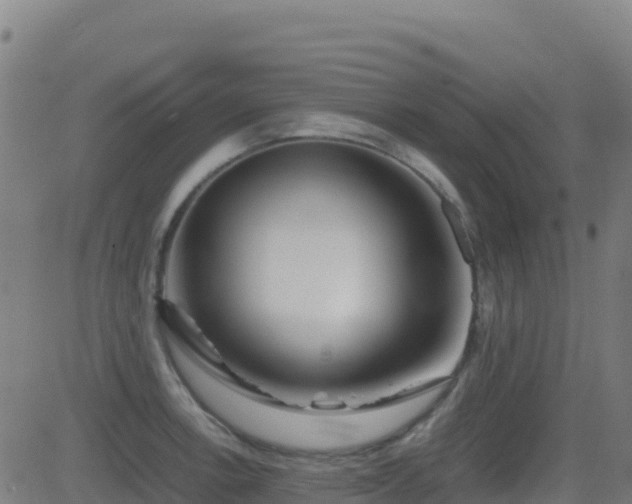 X0000081491138200701121503