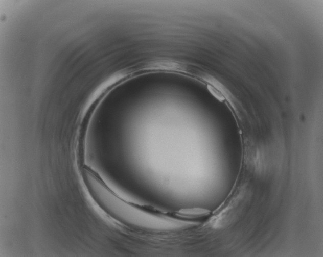 X0000081491139200701121503