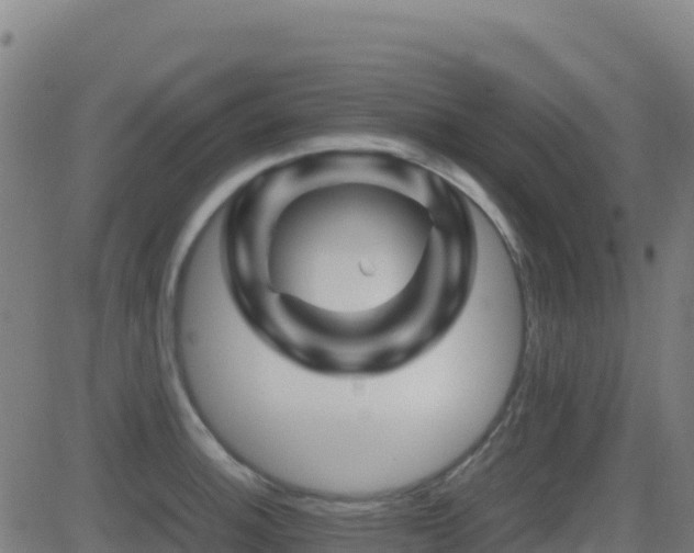 X0000081491140200701121503