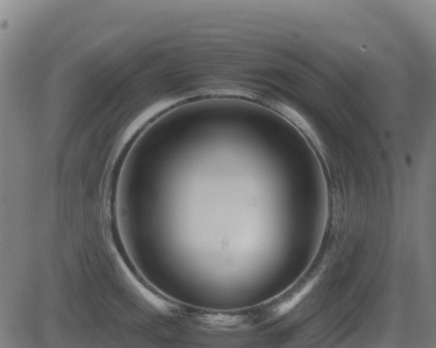 X0000081491141200701121503