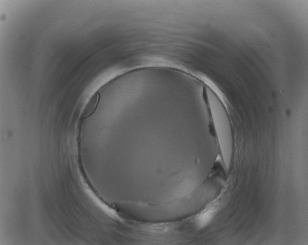 X0000081491142200701121503