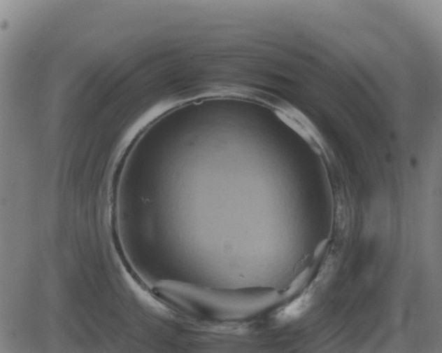 X0000081491143200701121503