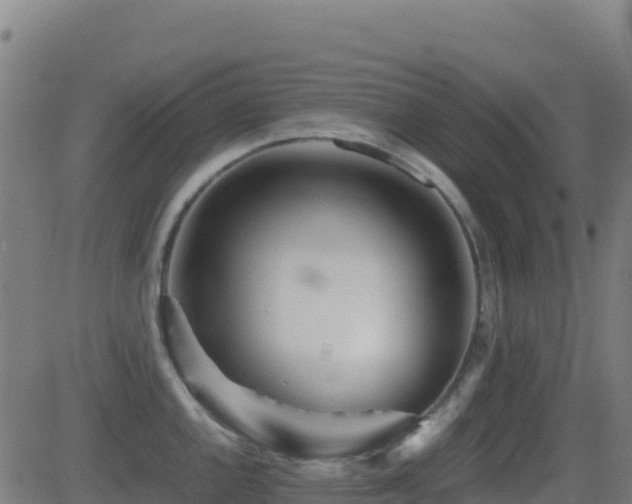 X0000081491144200701121503