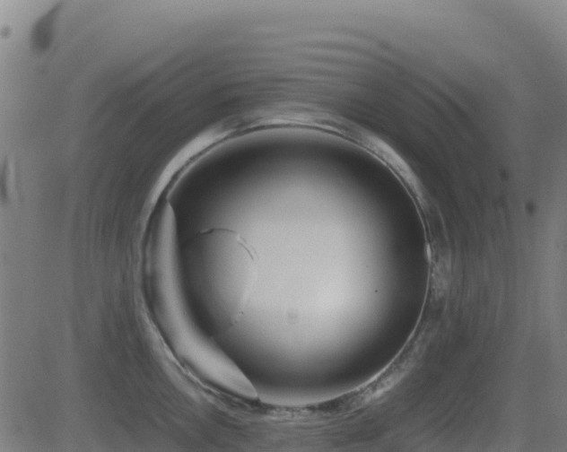 X0000081491146200701121503