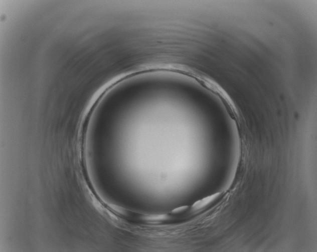 X0000081491148200701121503