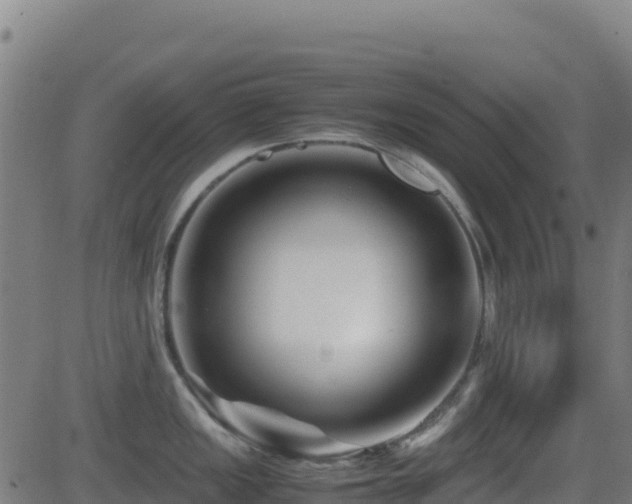 X0000081491149200701121503