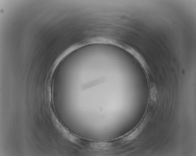 X0000081491150200701121503