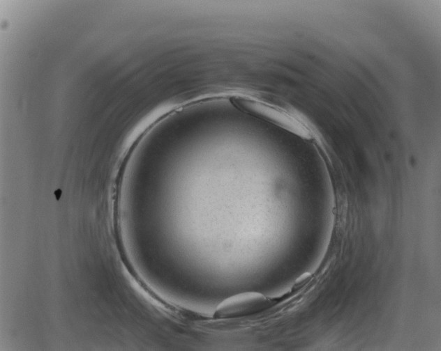 X0000081491151200701121503