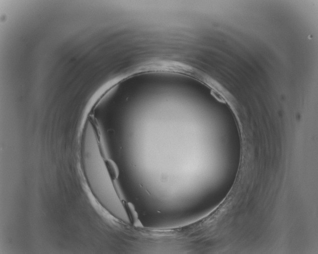 X0000081491152200701121503