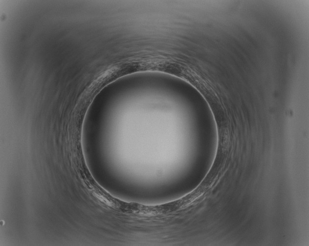 X0000081491153200701121503