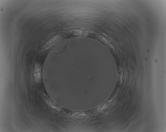 X0000081491154200701121503