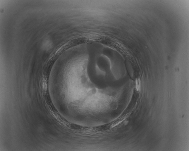 X0000081491155200701121503