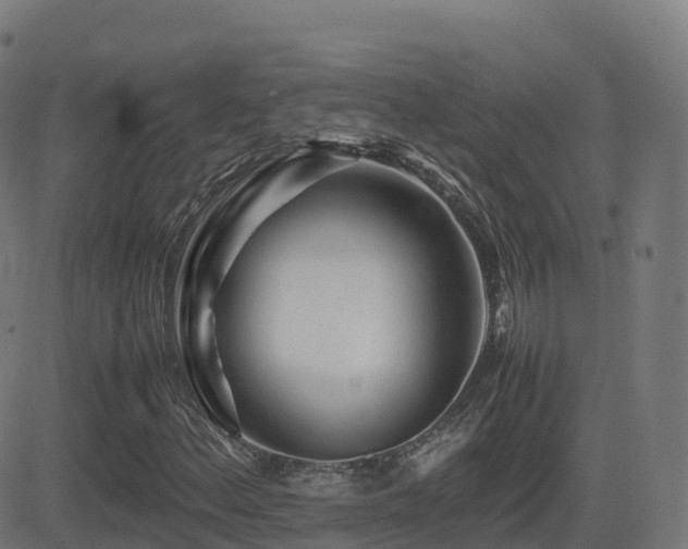 X0000081491156200701121503