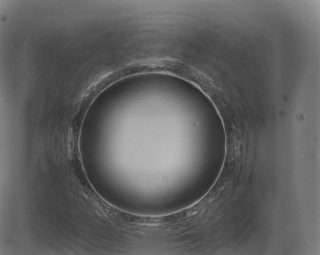 X0000081491158200701121503