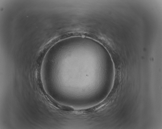 X0000081491159200701121503