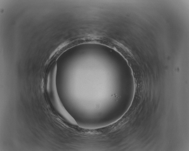 X0000081491160200701121503