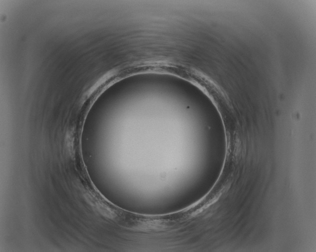 X0000081491162200701121503