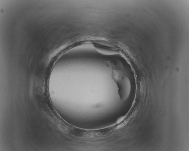 X0000081491165200701121502