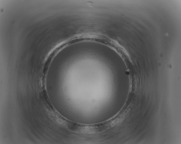 X0000081491166200701121502