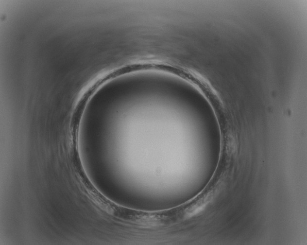 X0000081491167200701121502