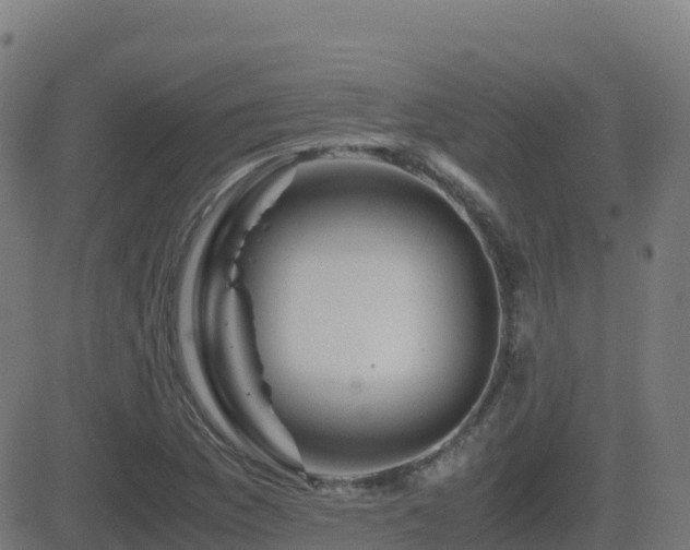 X0000081491169200701121502