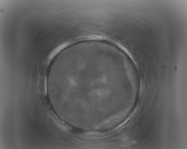 X0000081491171200701121502