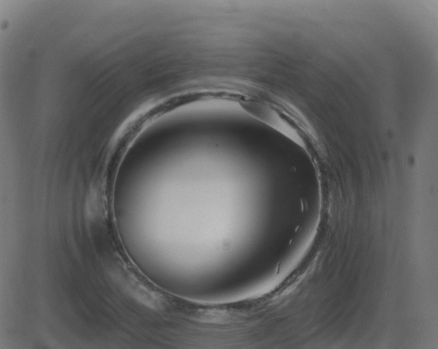 X0000081491172200701121502