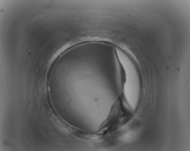 X0000081491173200701121502