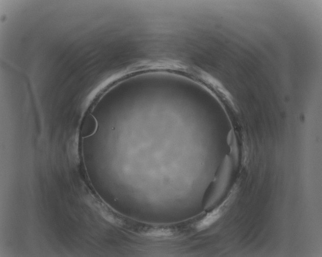 X0000081491174200701121502