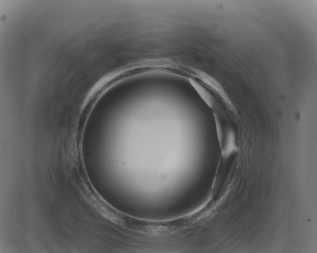 X0000081491176200701121502