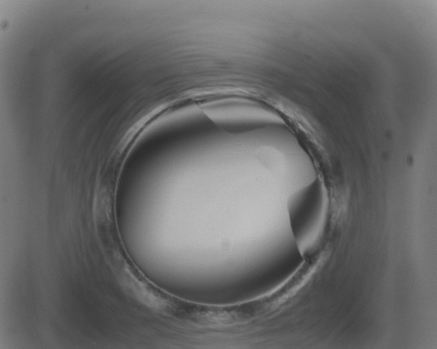 X0000081491177200701121502