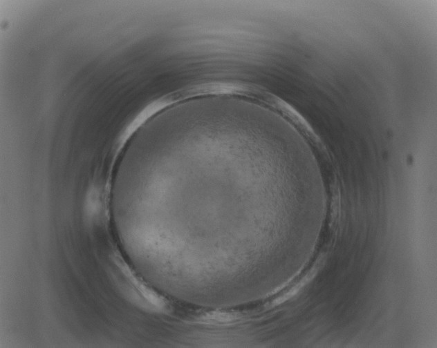 X0000081491178200701121502