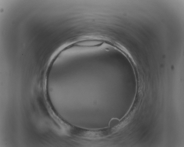 X0000081491179200701121502