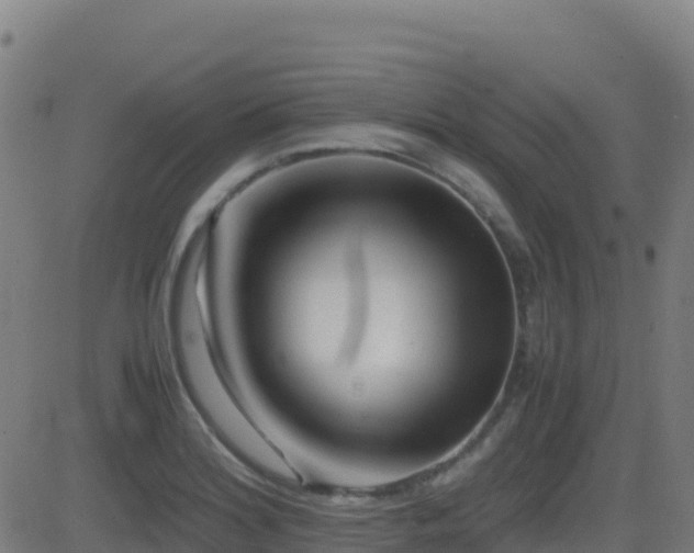 X0000081491180200701121502