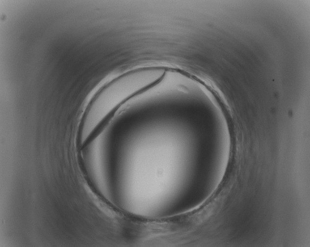 X0000081491181200701121502