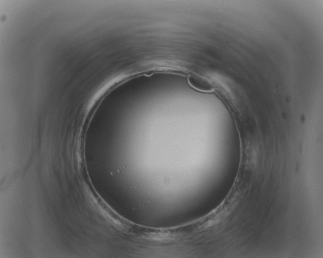 X0000081491182200701121502