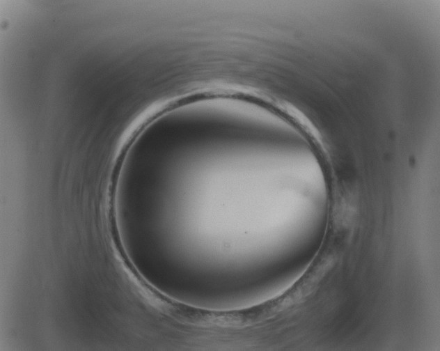 X0000081491183200701121502