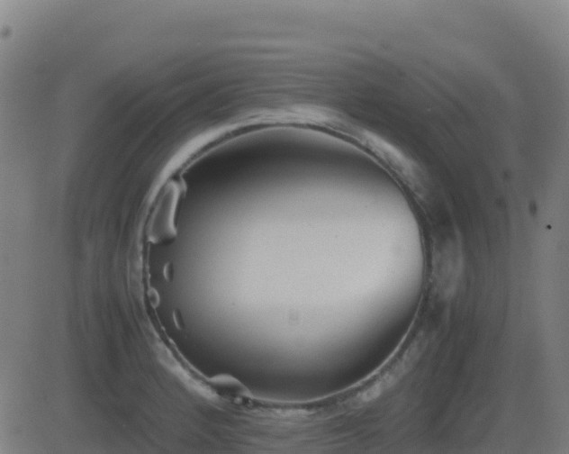 X0000081491184200701121502