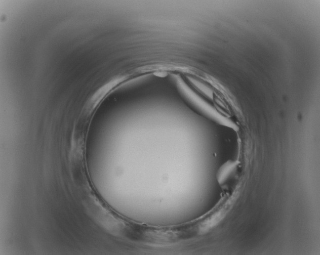 X0000081491185200701121502