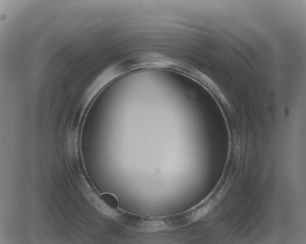 X0000081491186200701121502